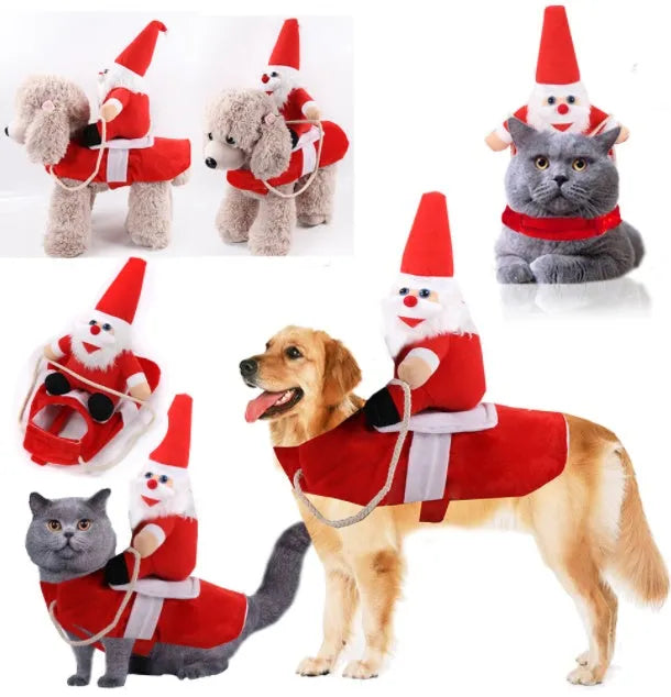 Cane abiti natalizi Cat CAT Christmas Clothes Clothes