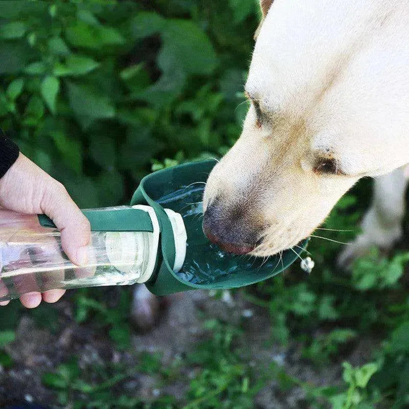 2 In 1 Multifunction Pet Dog Silicone Foldable Water Bottle - EX-STOCK CANADA