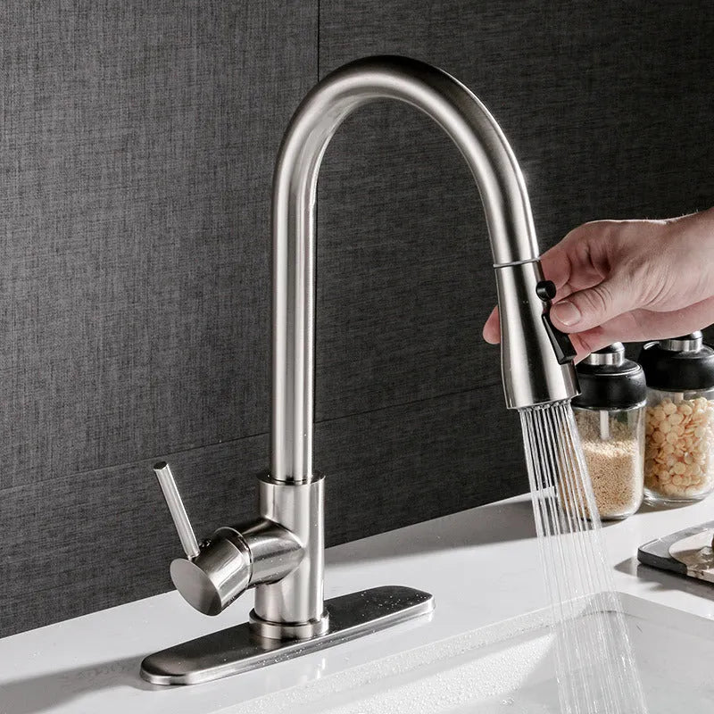 Stainless Steel Brushed Kitchen Sink Faucet with Sprayer