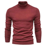 Men's Plain Slim Pullover Polo Sweatshirt Turtleneck Sweater Winter Casual Tops Men