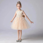 Formal Dress Fashionable Vest Princess Dress Girl Catwalk Show Clothing Birthday dress for Kids