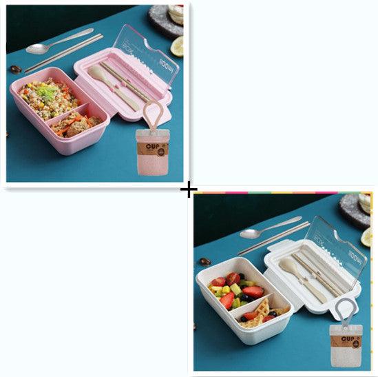 Plastic lunch box - EX-STOCK CANADA
