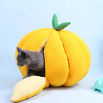 Pumpkin Nest Plush Toy Cute Pet Inside Stuffed Pumpkin Fluffy Decorative Sofa Cushion Couch Throw Pillow Soft Pumpkin Toys Pet Halloween Winter Bed cushion