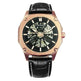 Automatic mechanical watches - EX-STOCK CANADA