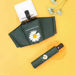 Black Gum Sunscreen Anti Ultraviolet Umbrella Advertising Umbrella Daisy Umbrella Umbrella Girl - EX-STOCK CANADA