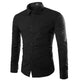 Casual Polo Collar Ironing Free Long Sleeves Shirt For Men - EX-STOCK CANADA