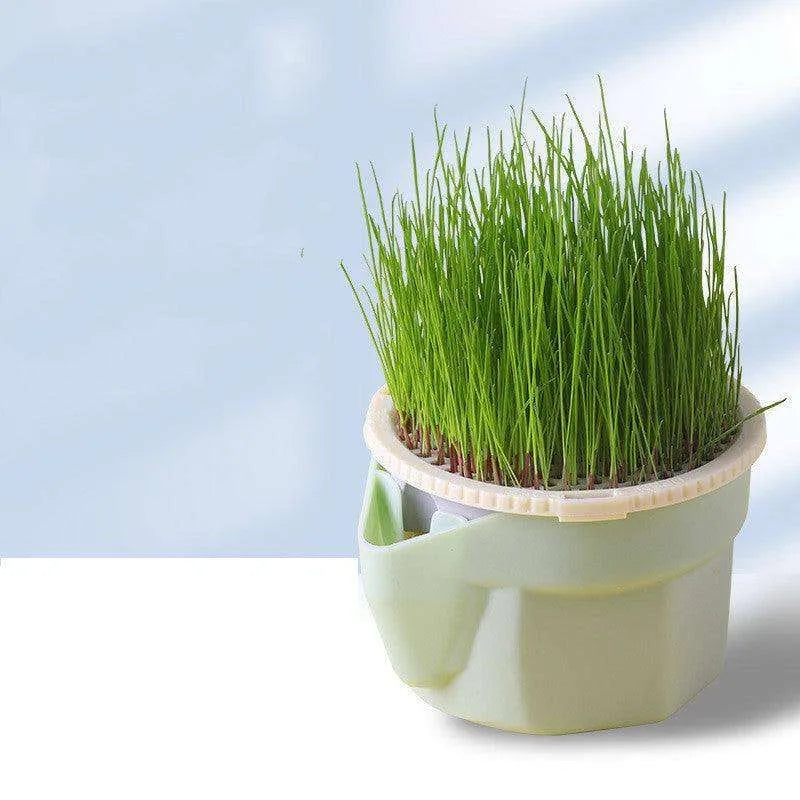 Cat Grass Cup Soilless Hydroponic Seed Spit Hair Ball Snacks - EX-STOCK CANADA