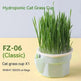 Cat Grass Cup Soilless Hydroponic Seed Spit Hair Ball Snacks - EX-STOCK CANADA