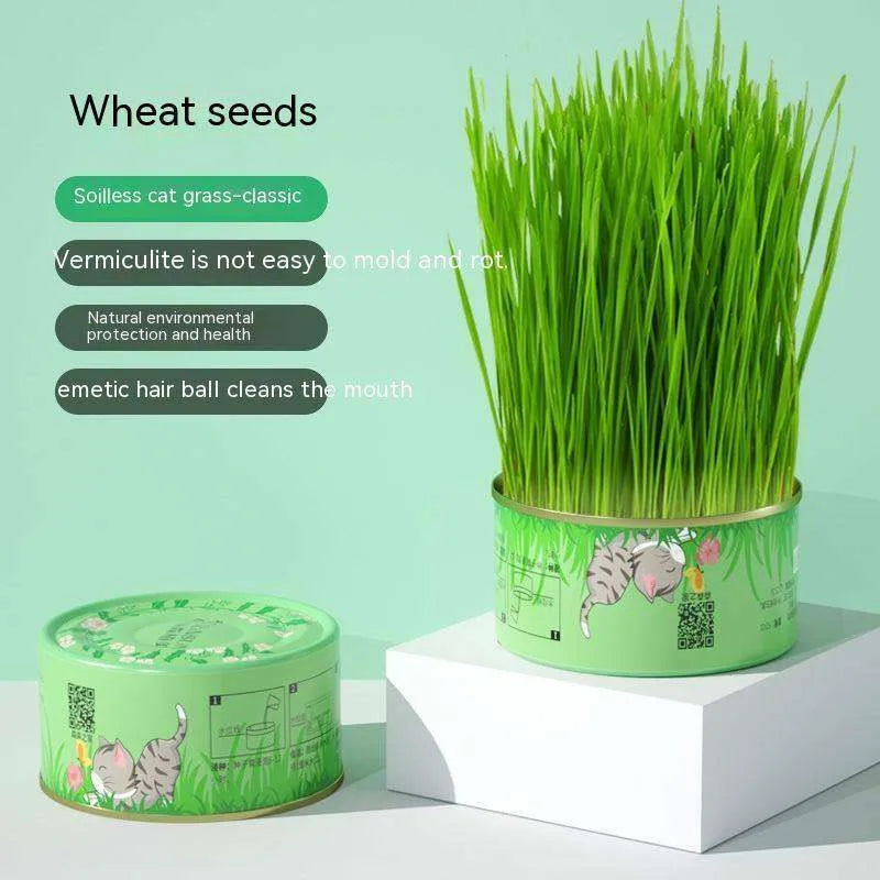 Cat Grass Cup Soilless Hydroponic Seed Spit Hair Ball Snacks - EX-STOCK CANADA