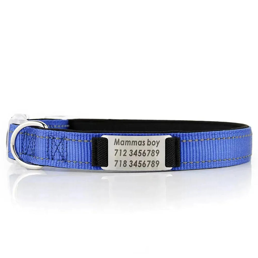 Customized Nylon Dog Collar - EX-STOCK CANADA