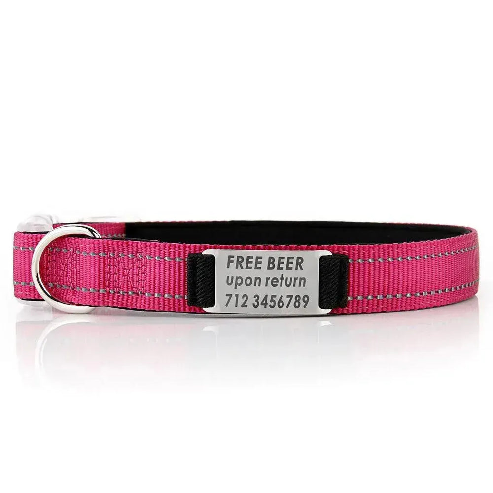 Customized Nylon Dog Collar - EX-STOCK CANADA