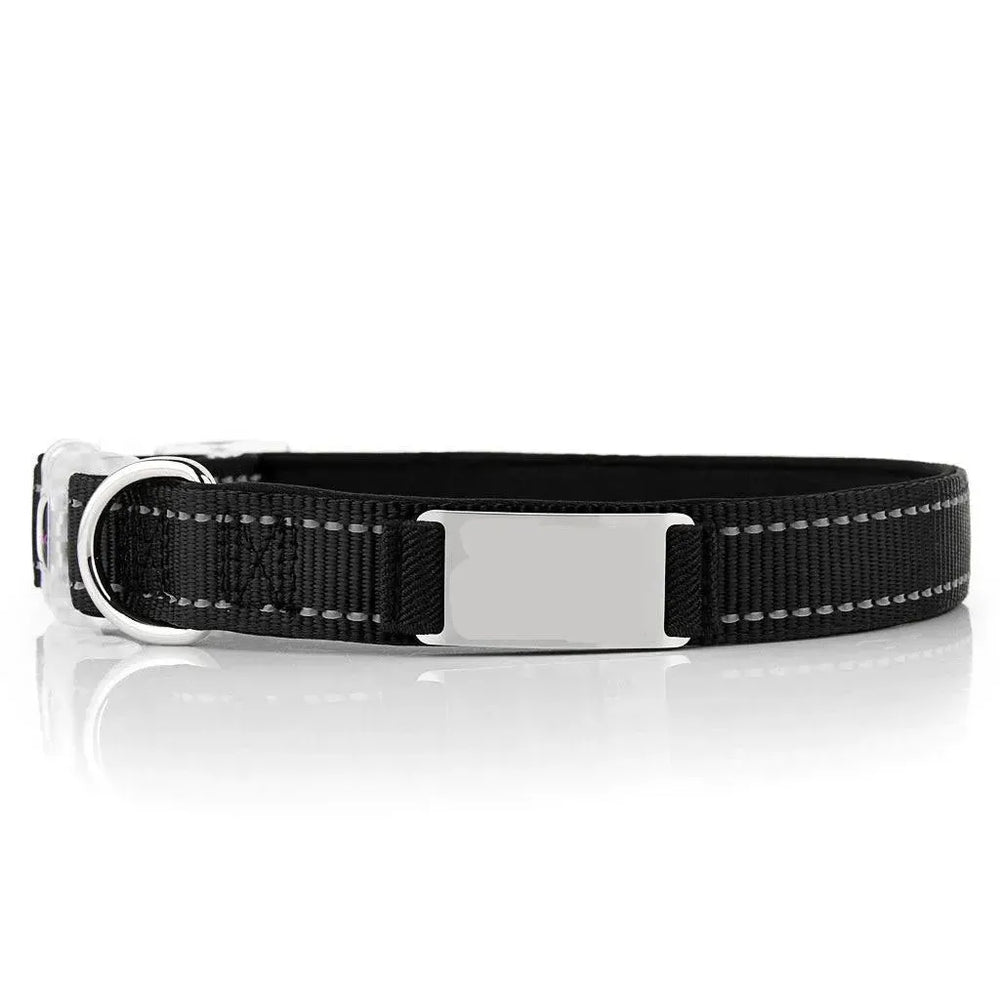 Customized Nylon Dog Collar - EX-STOCK CANADA