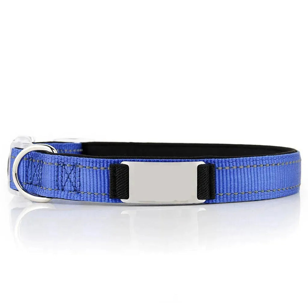 Customized Nylon Dog Collar - EX-STOCK CANADA