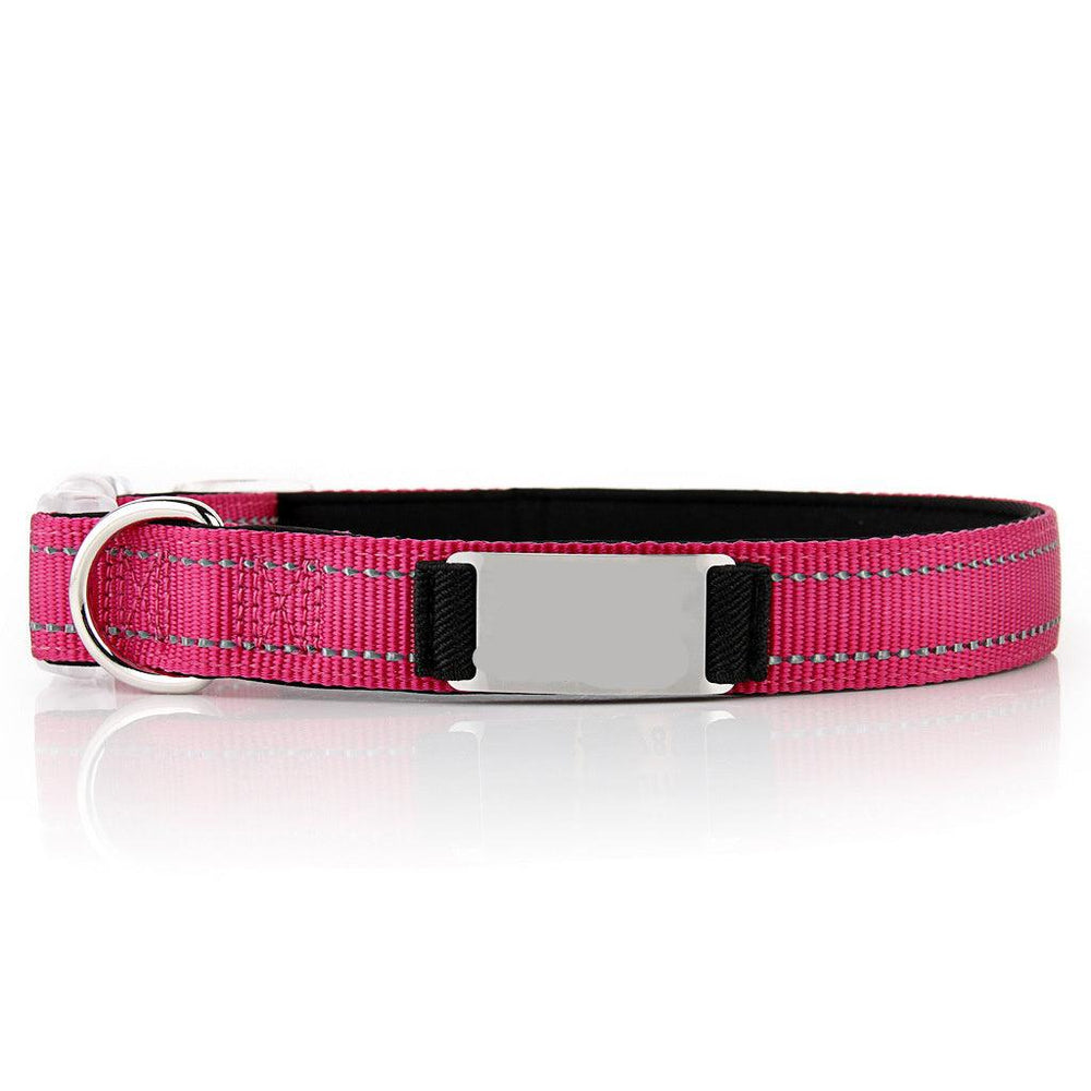 Customized Nylon Dog Collar - EX-STOCK CANADA