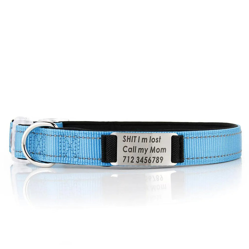 Customized Nylon Dog Collar - EX-STOCK CANADA