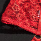Embroidered Garter Strap Sexy Lingerie - EX-STOCK CANADA