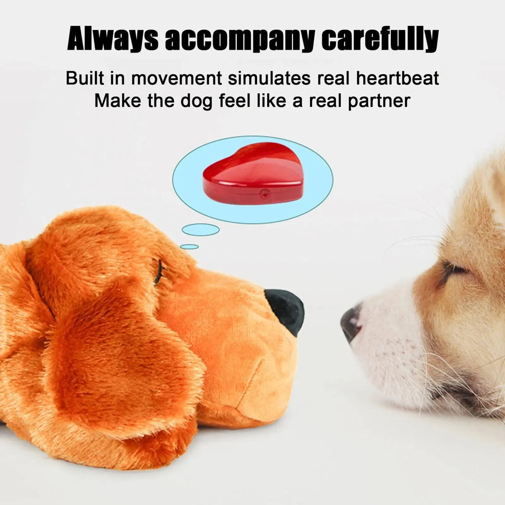 Fashion Hot Selling Pet Comfort Toys - EX-STOCK CANADA