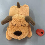 Fashion Hot Selling Pet Comfort Toys - EX-STOCK CANADA