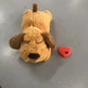 Fashion Hot Selling Pet Comfort Toys - EX-STOCK CANADA