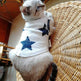 Fashionable Pet Cotton comfy Clothes - EX-STOCK CANADA