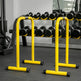 Gym Movable Single Parallel Bars - EX-STOCK CANADA