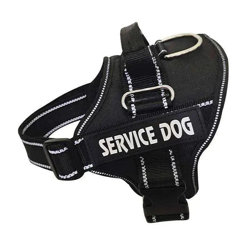 High Quality Personalization Of Pet Chest Strap / leash - EX-STOCK CANADA