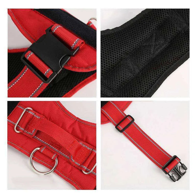 High Quality Personalization Of Pet Chest Strap / leash - EX-STOCK CANADA