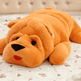 Kawaii Shar Pei Dog Plush: Big Stuffed Toy - EX-STOCK CANADA