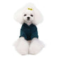 Kitty dog clothes clothing supplies teddy - EX-STOCK CANADA