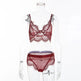 Lace erotic lingerie set - EX-STOCK CANADA