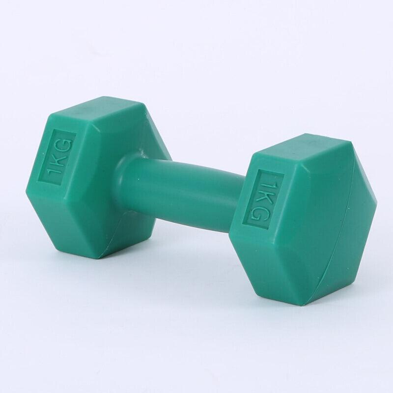 Ladies Gym Aerobics Filling Sand Hexagon Dumbbell - EX-STOCK CANADA