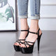 Model High Heels Sexy Buckle Women's Shoes 15cm Stiletto - EX-STOCK CANADA