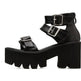 New Summer Roman Style European and American Ladies Ankle buckle Leather High Heel Wedge Black sandals . - EX-STOCK CANADA