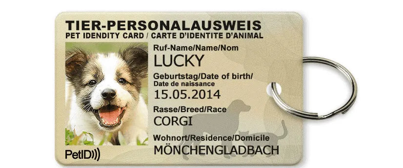 Pet ID card - EX-STOCK CANADA