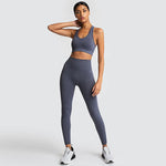 Seamless Gym Set Nylon Woman Sportswear - EX-STOCK CANADA