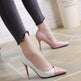 Shallow Mouth Pointed High Heels Sexy Temperament Stiletto Single Shoes - EX-STOCK CANADA