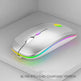 Silent Silent Laptop Gaming Mouse - EX-STOCK CANADA