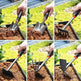 Small Shovel Set For Household Flower Planting Tools - EX-STOCK CANADA