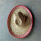 Straw Hats With Pointed Top And Big Brim Frills Are Best-selling Mexican Straw Hats - EX-STOCK CANADA