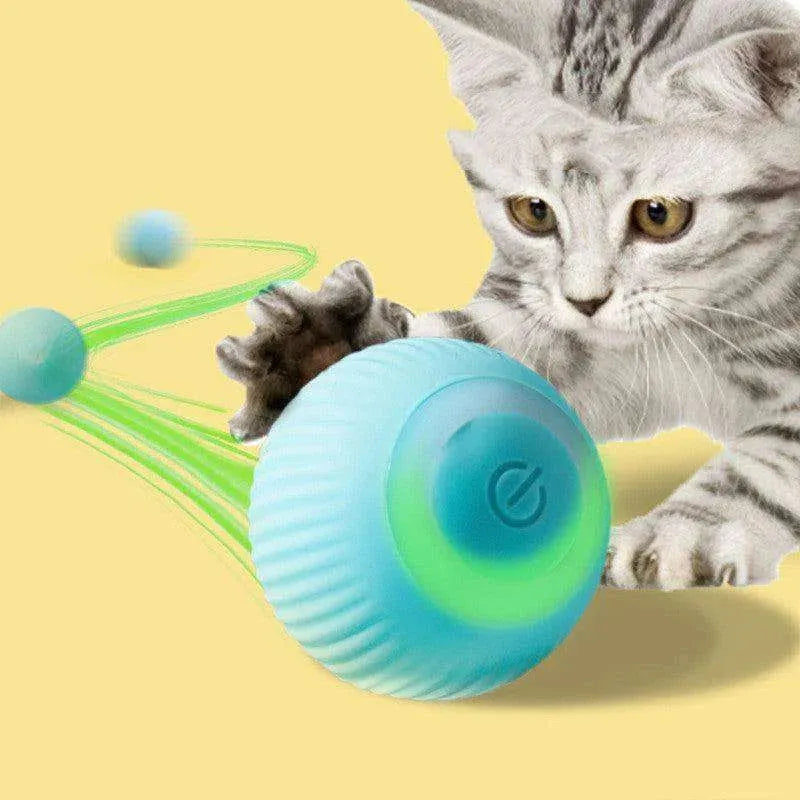 USB Rechargeable Electric Rolling Gravity Ball Toy for kittens - EX-STOCK CANADA