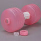 Water Dumbbell Weight for Gym Fitness - EX-STOCK CANADA