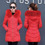 Women Slim Thick Korean Down Padded Jacket - EX-STOCK CANADA