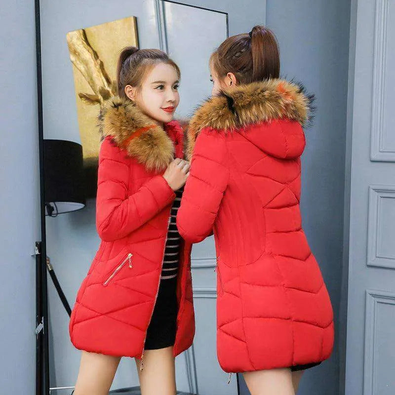 Women Slim Thick Korean Down Padded Jacket - EX-STOCK CANADA